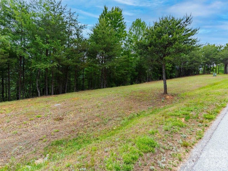 38 Deep Gap Farm Rd #38, Mill Spring, NC 28756