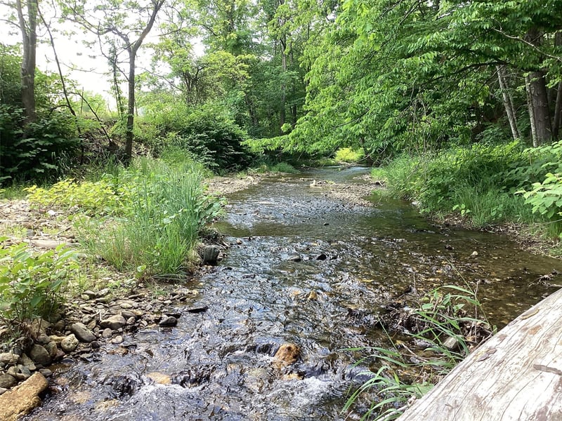 00 Bolens Creek Rd, Burnsville, NC 28714