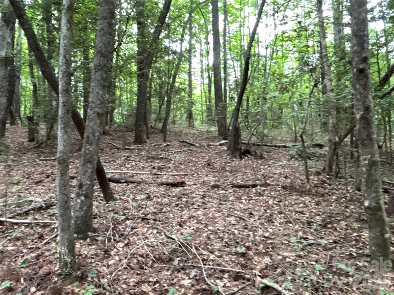 00 J Thomas Rd, Morganton, NC 28655