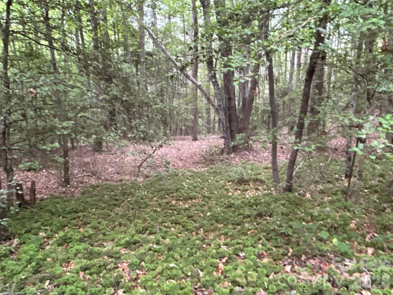00 J Thomas Rd, Morganton, NC 28655