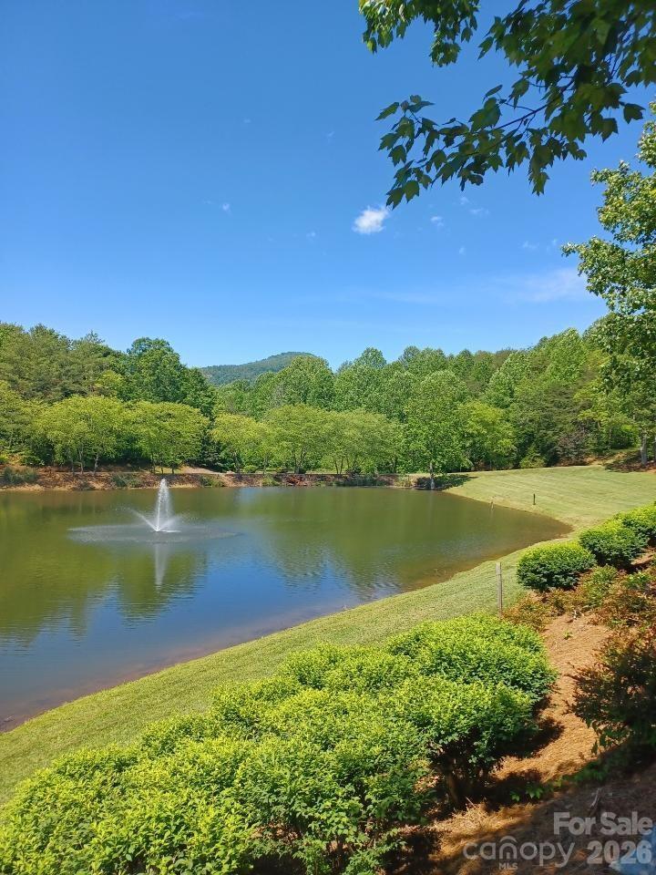 106 Cornell Cir, Lake Lure, NC 28746