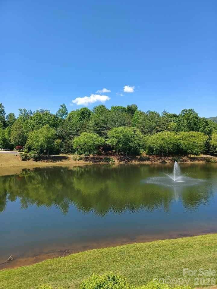 106 Cornell Cir, Lake Lure, NC 28746