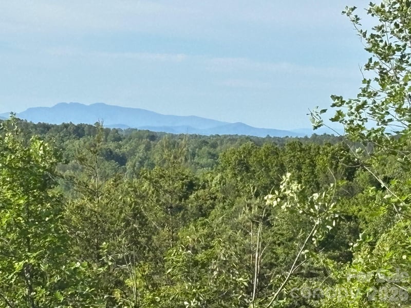 TBD Vein Mountain Rd #6, Nebo, NC 28761