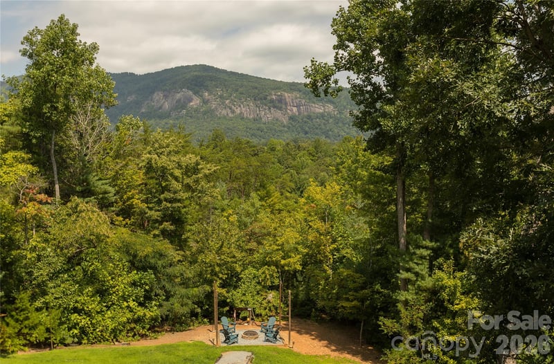 517 Luther Burbank Dr, Lake Lure, NC 28746