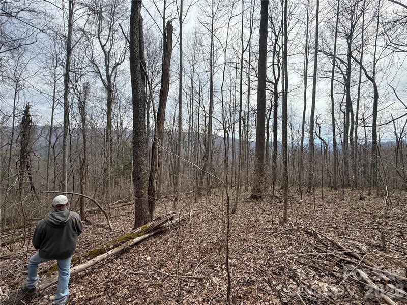 000 Caldwell Mountain Rd, Hot Springs, NC 28743