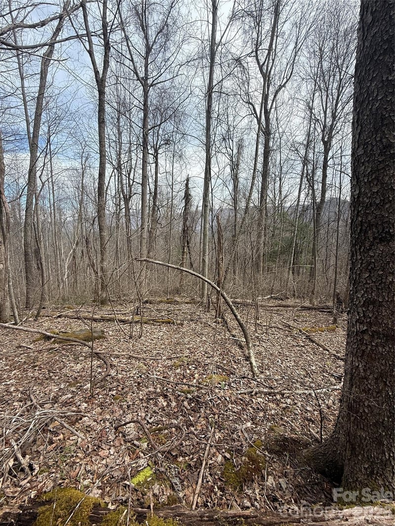 000 Caldwell Mountain Rd, Hot Springs, NC 28743