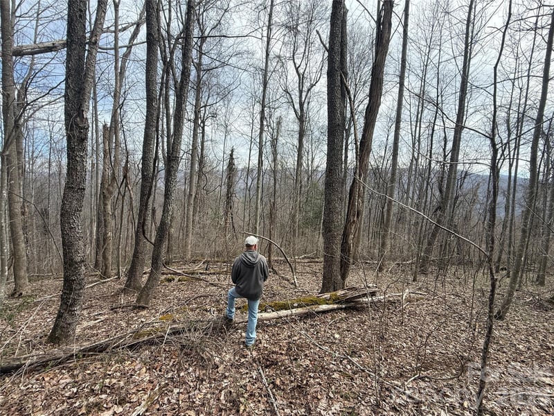 000 Caldwell Mountain Rd, Hot Springs, NC 28743