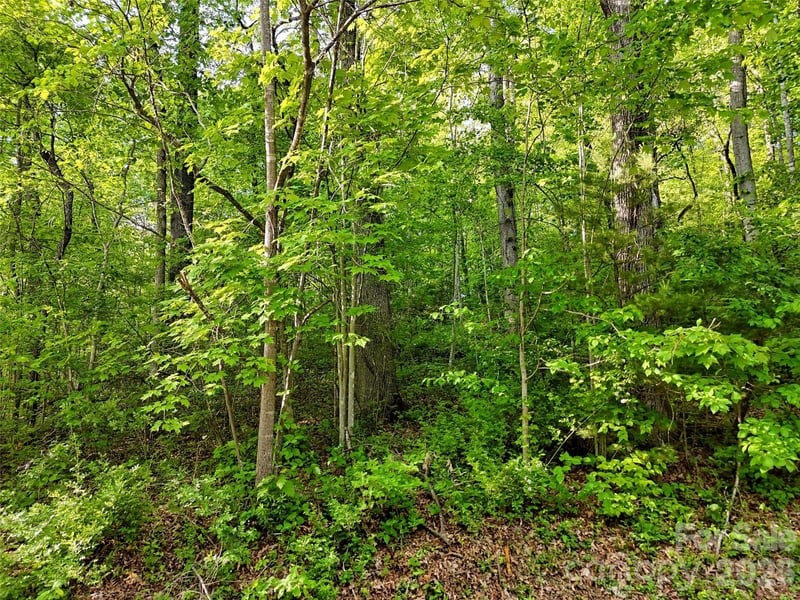 00 Junaluska Oaks Dr, Waynesville, NC 28786