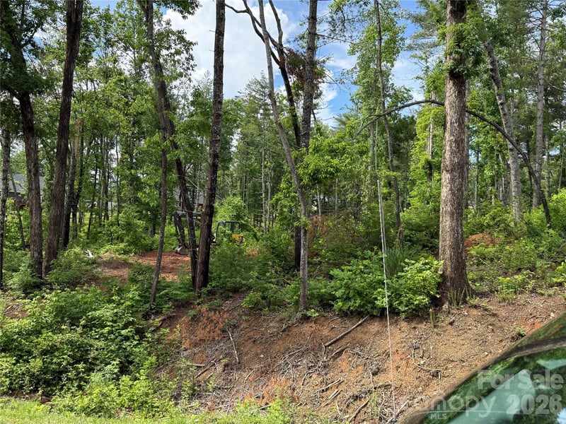 207 Cascade Ridge Rd, Fairview, NC 28730