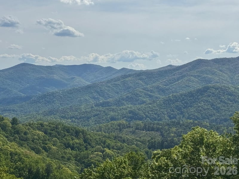 686 Hyacinth Dr, Clyde, NC 28721