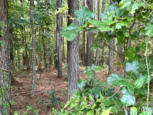 100 Shortoff Trl #156, Valdese, NC 28690
