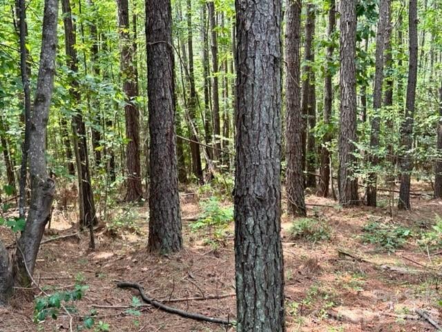 100 Shortoff Trl #156, Valdese, NC 28690