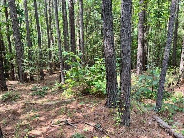 100 Shortoff Trl #156, Valdese, NC 28690