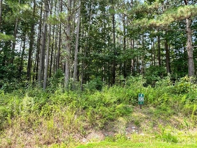 100 Shortoff Trl #156, Valdese, NC 28690
