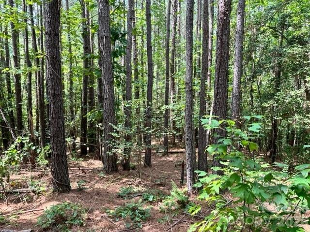 100 Shortoff Trl #156, Valdese, NC 28690