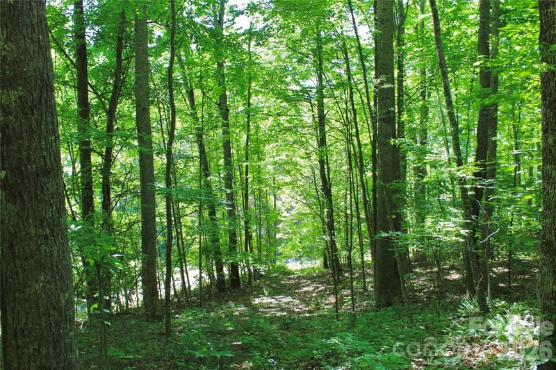 00 Wildwood Dr, Burnsville, NC 28714
