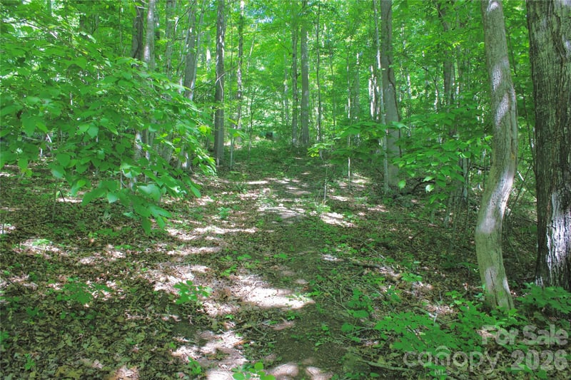 00 Wildwood Dr, Burnsville, NC 28714