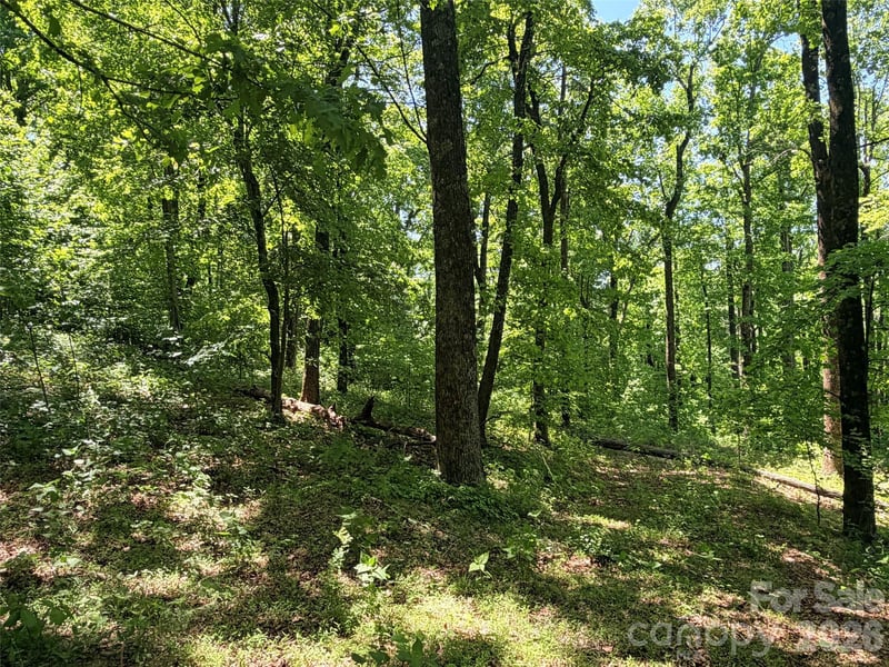 Lot 10 Timbercliff Trl, Black Mountain, NC 28711