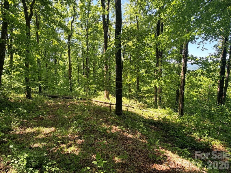 Lot 10 Timbercliff Trl, Black Mountain, NC 28711