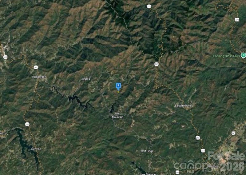 51 Bear Track Dr, Tuckasegee, NC 28783