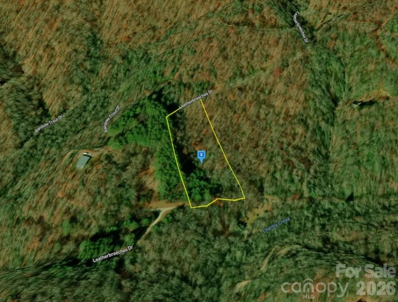 51 Bear Track Dr, Tuckasegee, NC 28783