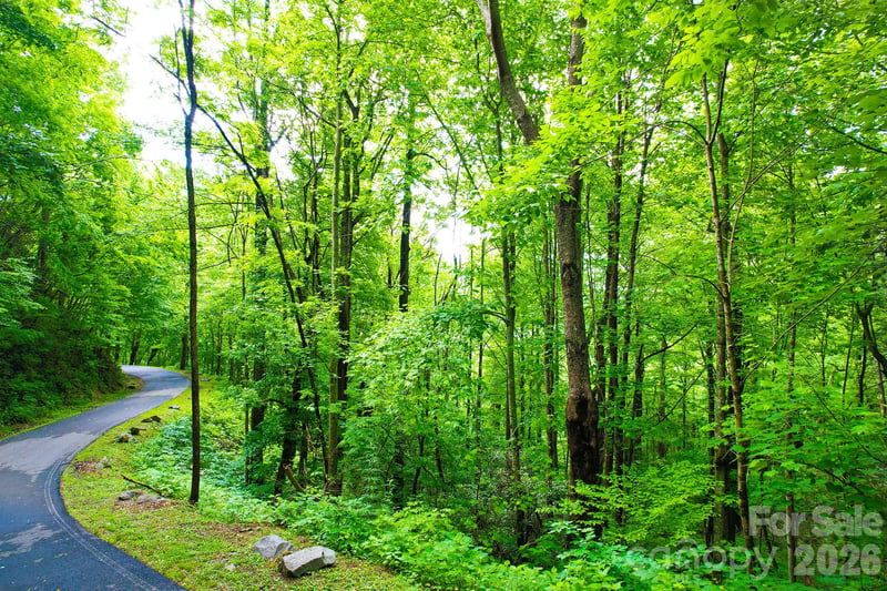 4 White Birch Ct #422, Black Mountain, NC 28711