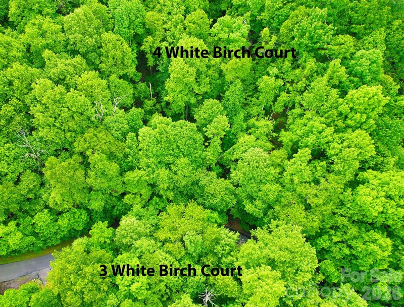 4 White Birch Ct #422, Black Mountain, NC 28711