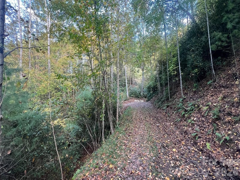 6 Dividing Ridge Trl #01, Arden, NC 28704