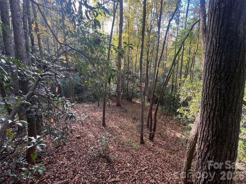 6 Dividing Ridge Trl #01, Arden, NC 28704