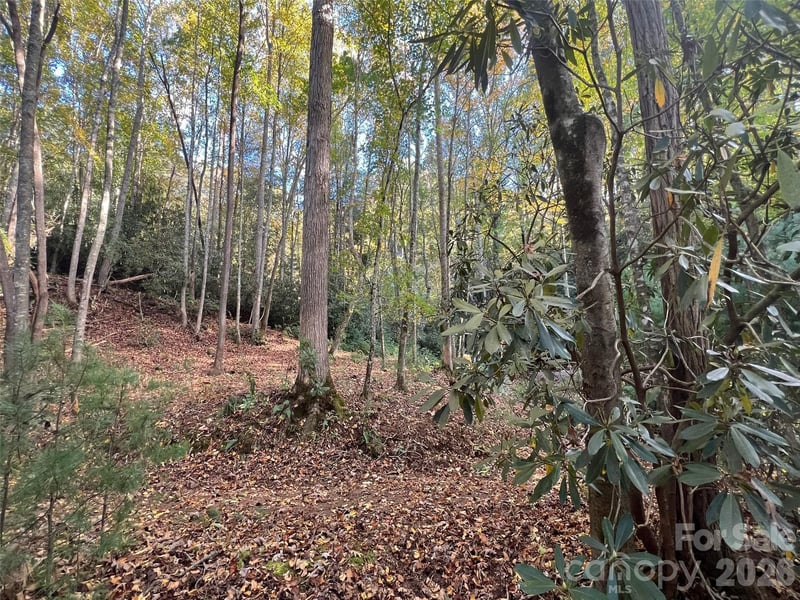 6 Dividing Ridge Trl #01, Arden, NC 28704