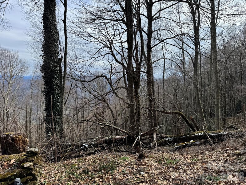 2085 Laurel Rg, Maggie Valley, NC 28751