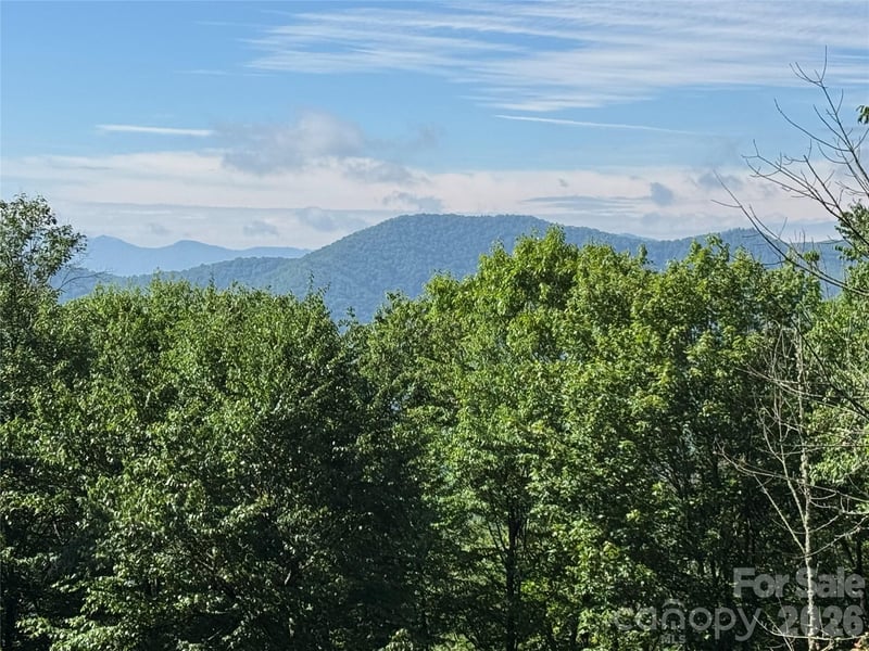 2085 Laurel Rg, Maggie Valley, NC 28751