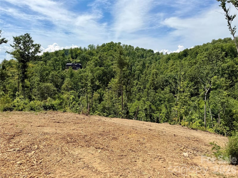 19 Villa Nova Dr, Asheville, NC 28804