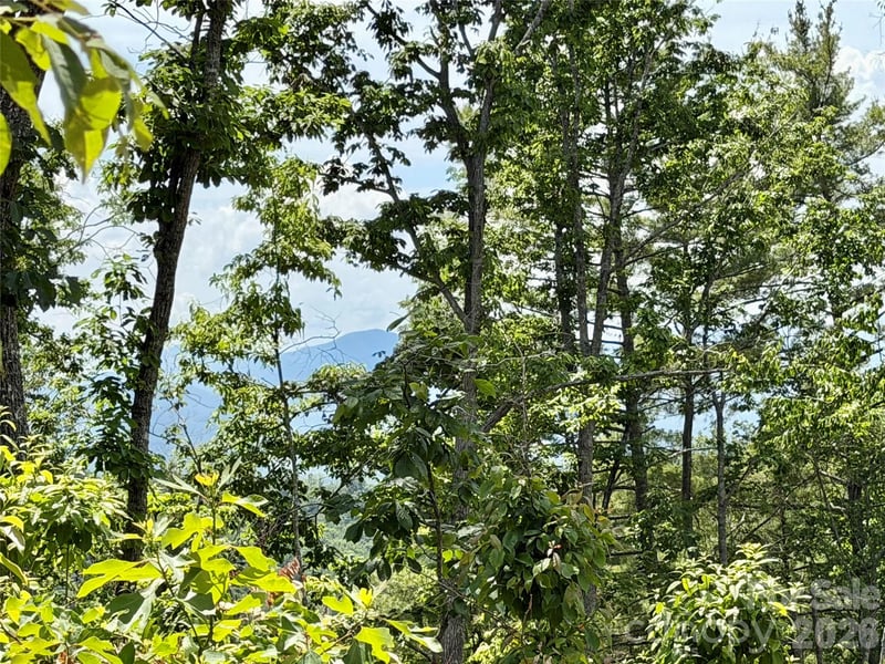 19 Villa Nova Dr, Asheville, NC 28804