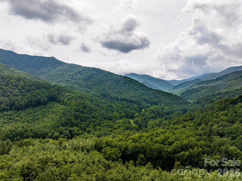 00 Lake Logan Rd, Canton, NC 28716