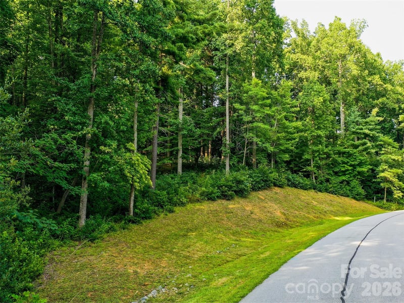 Lot 32 Freedom Trail Ct #32, Zirconia, NC 28790