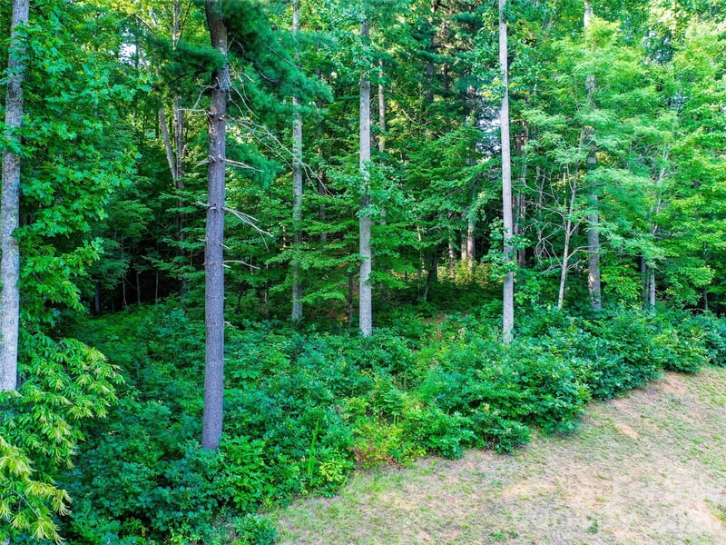 Lot 32 Freedom Trail Ct #32, Zirconia, NC 28790