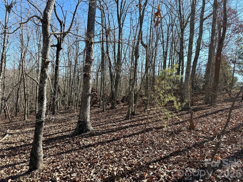 108 Woodgate Trl #94, Nebo, NC 28761