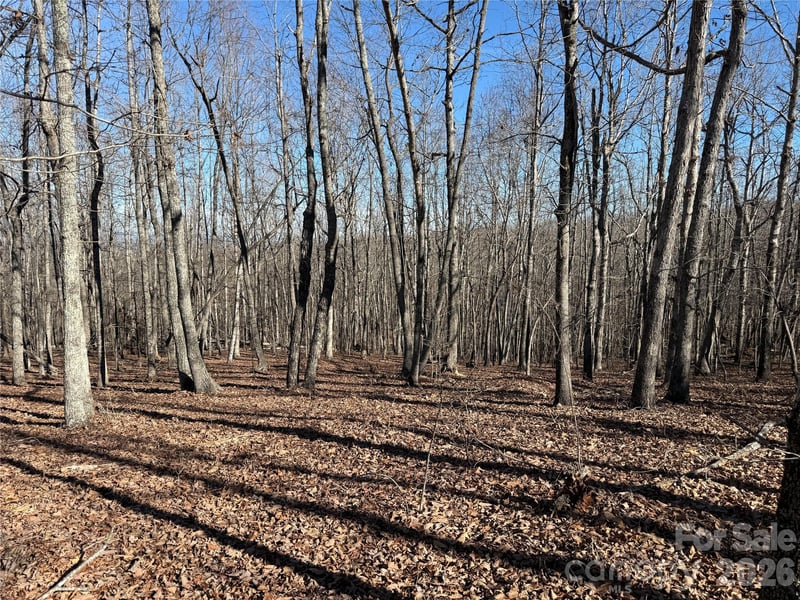 108 Woodgate Trl #94, Nebo, NC 28761