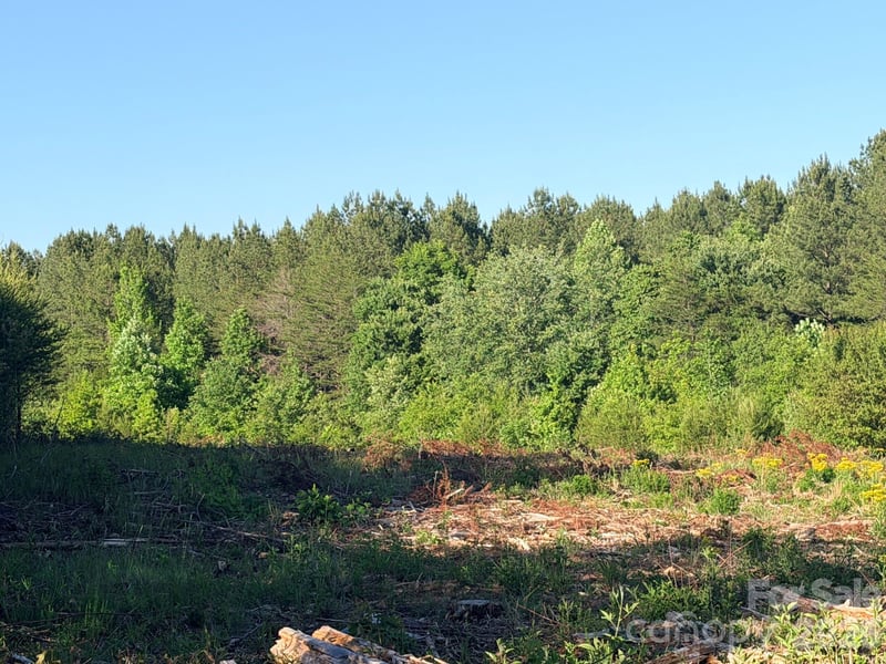 Lot 2 Doggett Grove Rd, Forest City, NC 28043