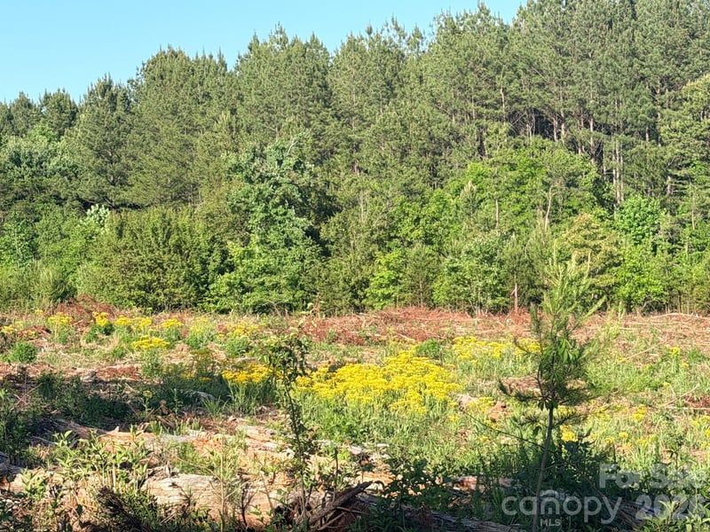 Lot 2 Doggett Grove Rd, Forest City, NC 28043