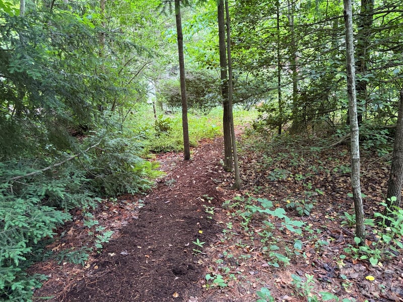 46 Cheshire Dr, Black Mountain, NC 28711