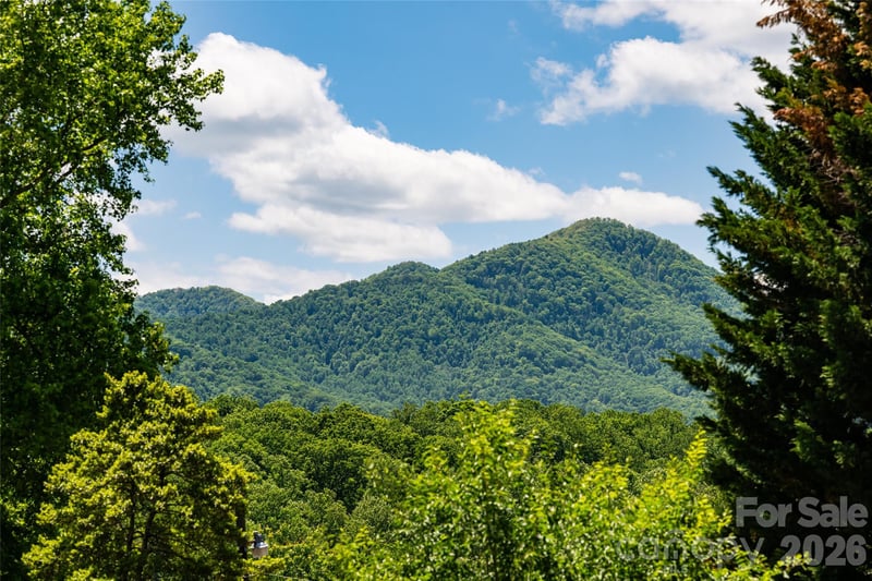 106 Aloha Circle Extension, Candler, NC 28715