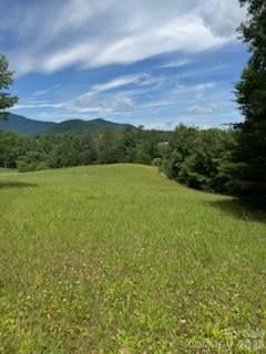 Smith Waldrop Rd, Mill Spring, NC 28756