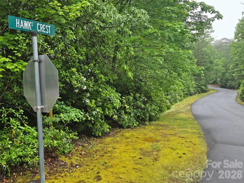 101 Hawks Crest, Brevard, NC 28712