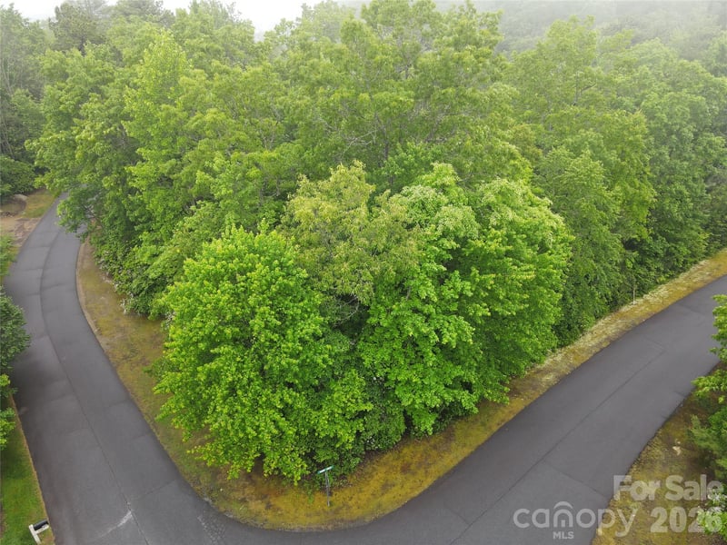 101 Hawks Crest, Brevard, NC 28712