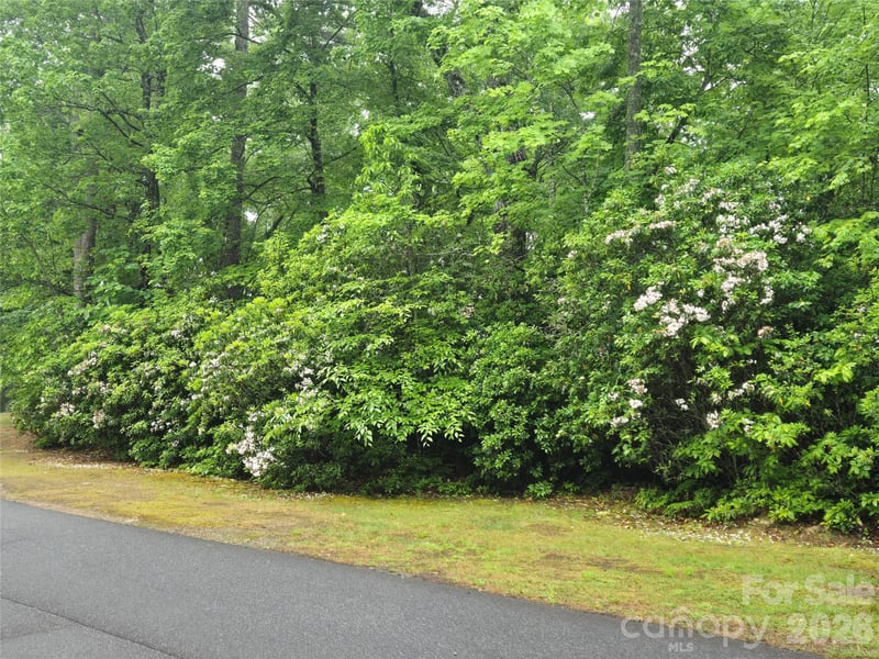 101 Hawks Crest, Brevard, NC 28712