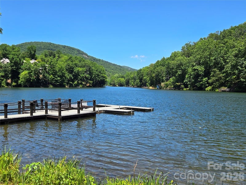147 Lake Dr #1203, Lake Lure, NC 28746