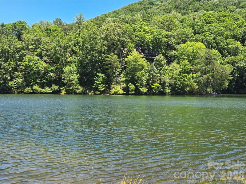 147 Lake Dr #1203, Lake Lure, NC 28746