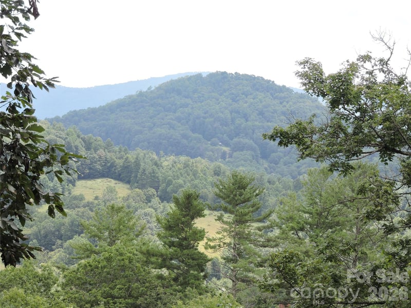 357 Rosewood Ln, Burnsville, NC 28714